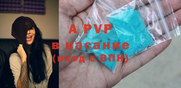 гашик Козельск