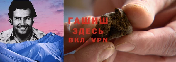 гашик Козельск
