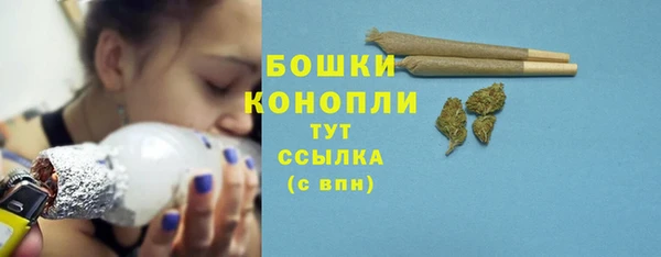 гашик Козельск