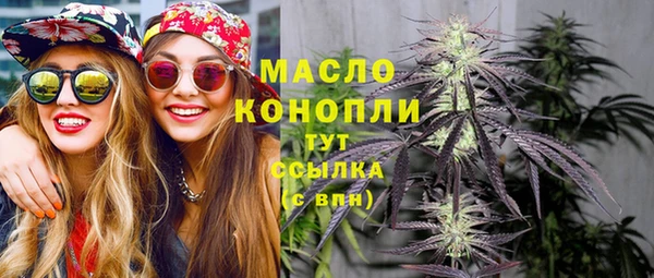 гашик Козельск