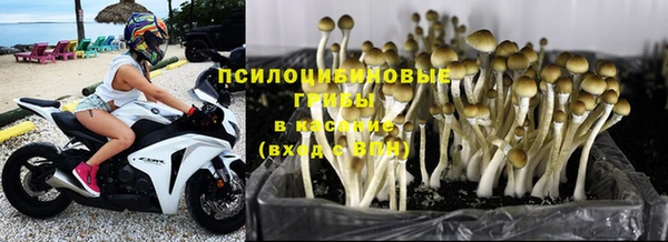 apvp Карталы