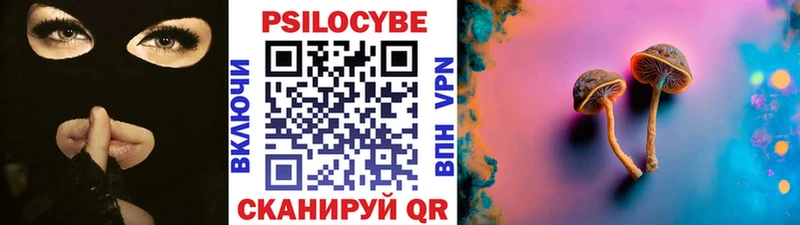 Купить  Бежецк  Галлюциногенные грибы Magic Shrooms 