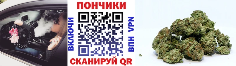 Купить закладки  Бежецк  Шишки марихуана OG Kush 